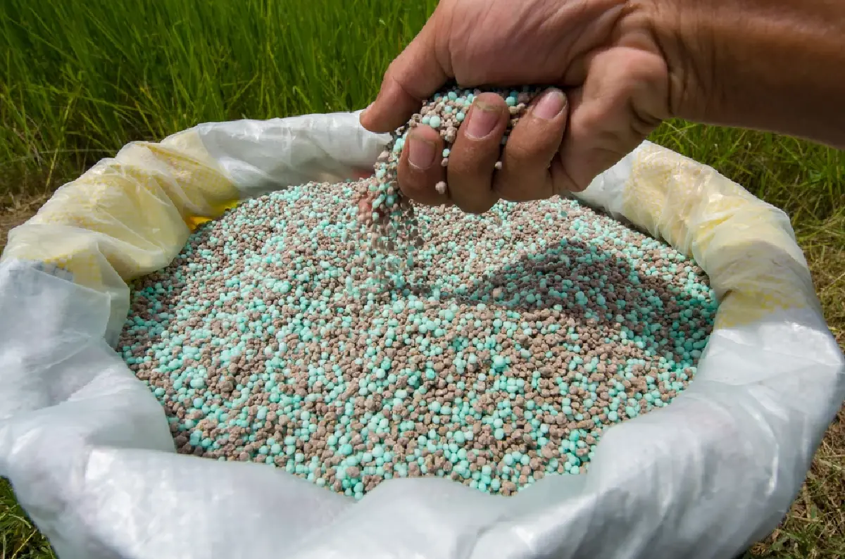 ข้าวจานละ 120 บาทไม่เกินจริง นักวิชาการ มธ. เตือนรับมือราคาปุ๋ยเคมีพุ่ง