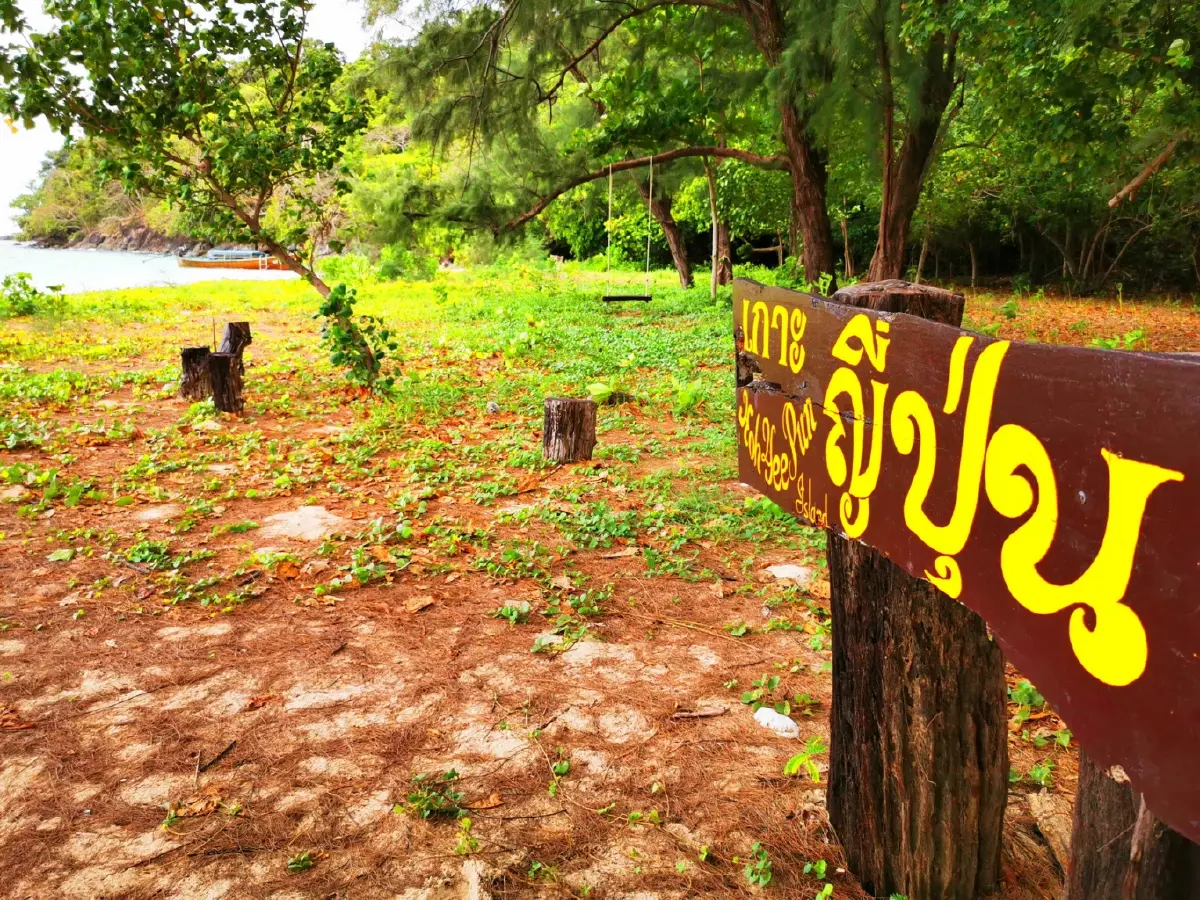 ค้างคืนบนเกาะกำ