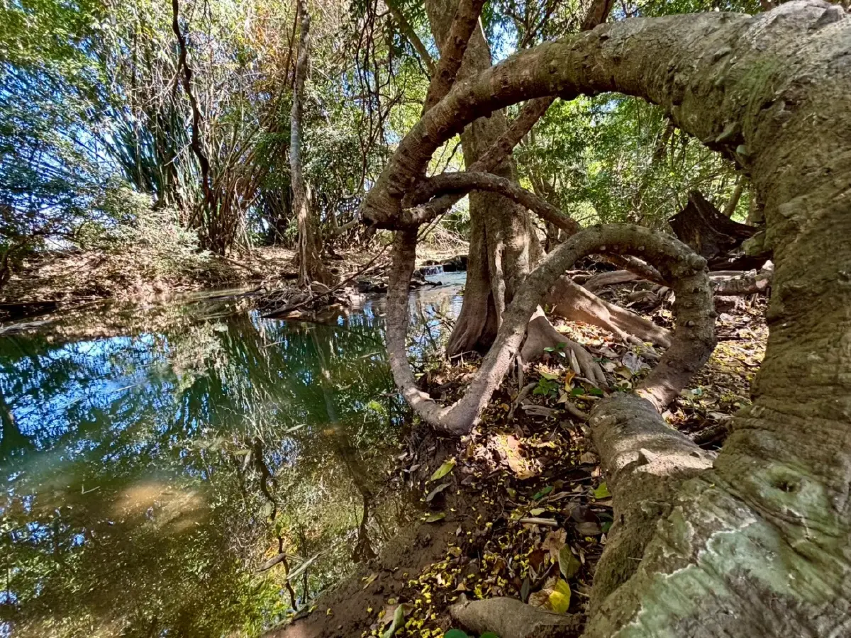 หน้าร้อน ปักหมุดเที่ยวเลย 'น้ำตกท่าสวรรค์' อ.นาด้วง น้ำใสไหลเย็น