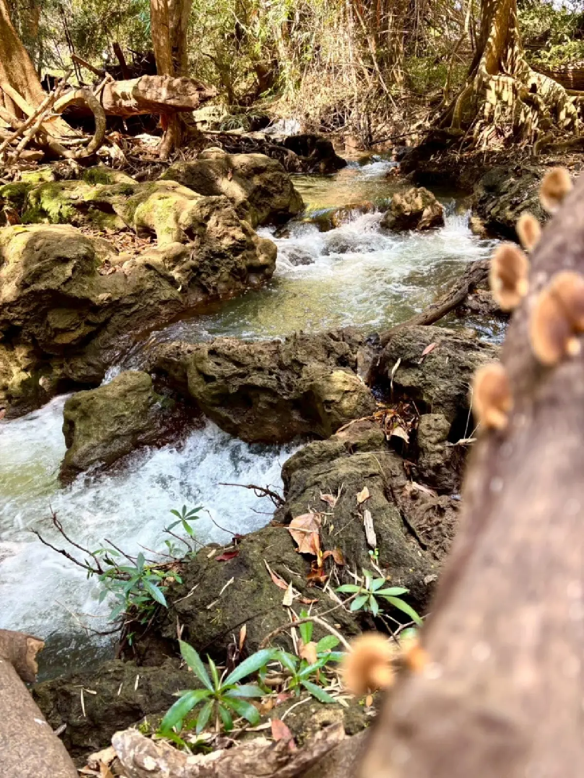 หน้าร้อน ปักหมุดเที่ยวเลย 'น้ำตกท่าสวรรค์' อ.นาด้วง น้ำใสไหลเย็น