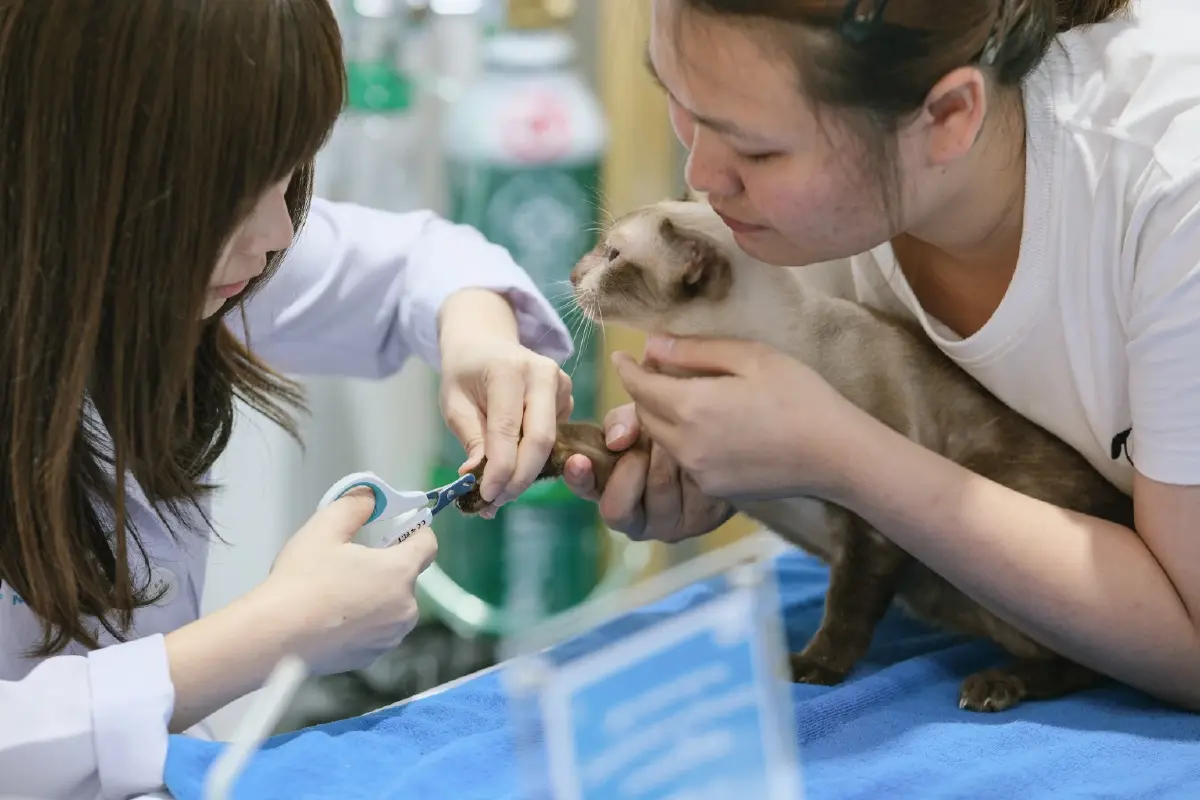 ไฮไลต์ PET EXPO 2026 ตรวจสุขภาพฟรี ส่องเฮลท์เทคสุดล้ำ รับเทรนด์ longevity