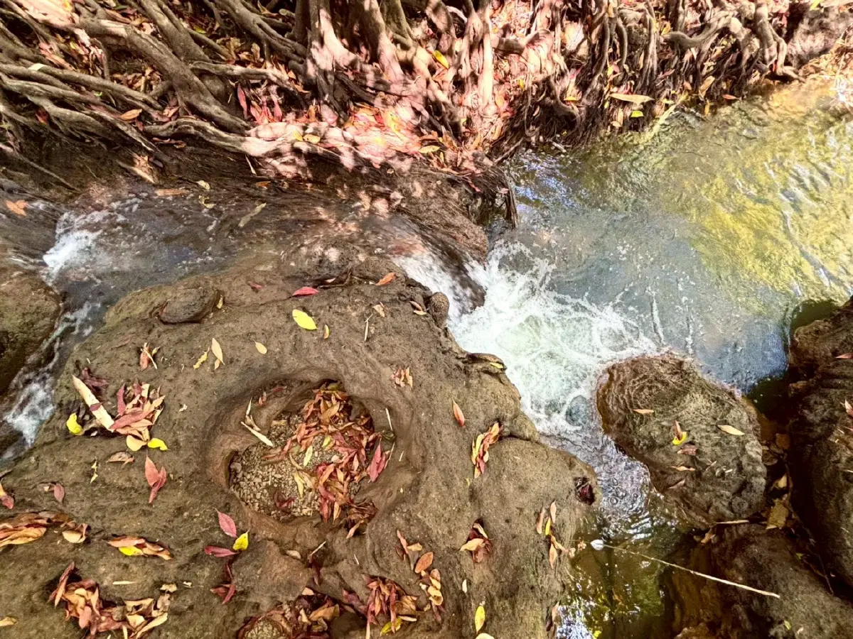 หน้าร้อน ปักหมุดเที่ยวเลย 'น้ำตกท่าสวรรค์' อ.นาด้วง น้ำใสไหลเย็น