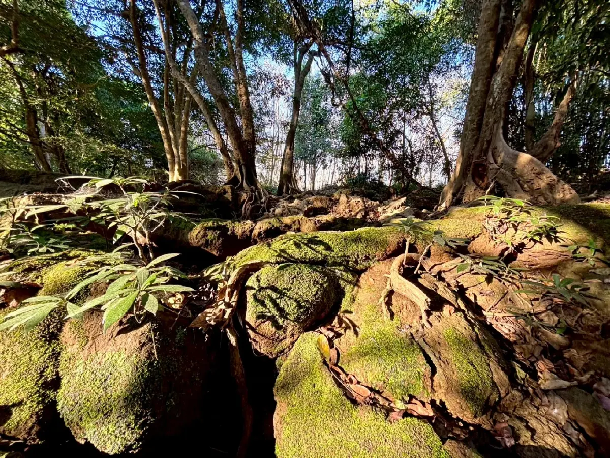 หน้าร้อน ปักหมุดเที่ยวเลย 'น้ำตกท่าสวรรค์' อ.นาด้วง น้ำใสไหลเย็น