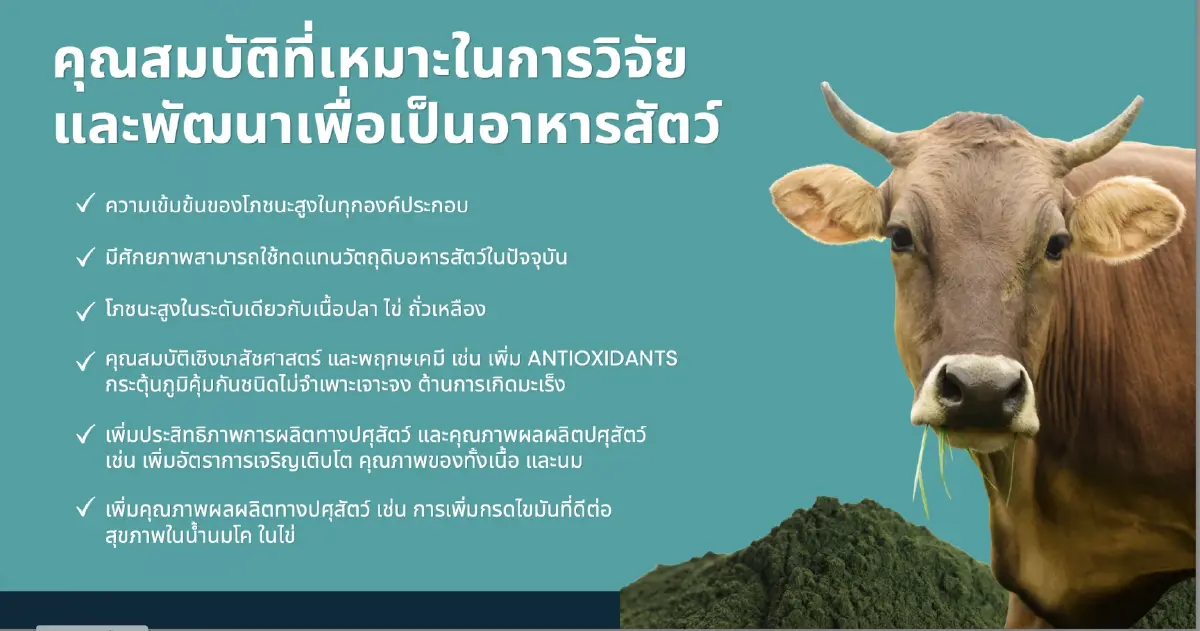 อ.เชน ยศชนัน ชื่นชม จุลสาหร่าย ต้นแบบนวัตกรรมแห่งอนาคต วิจัยจาก ม.เกษตรฯ