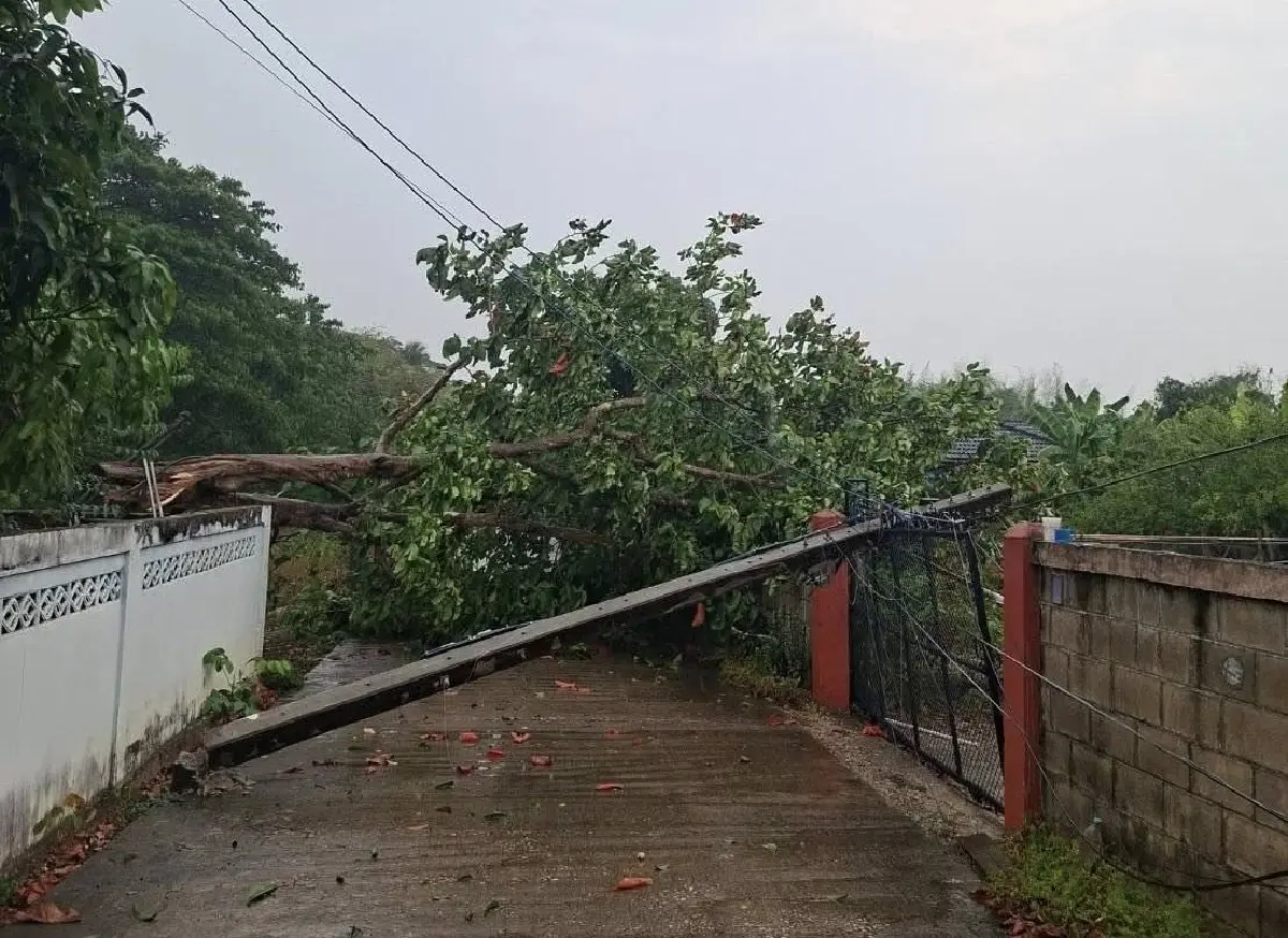 'สภาพอากาศ' พายุฤดูร้อนฝนตกลมแรงพัดถล่ม เสาไฟฟ้าล้ม PEA เร่งแก้