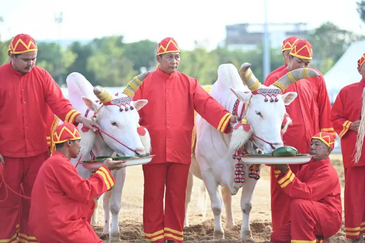 กระทรวงเกษตรฯ ซ้อมใหญ่ครั้งที่ 1 พระราชพิธีพืชมงคลฯ ปี 2569 ณ สนามหลวง
