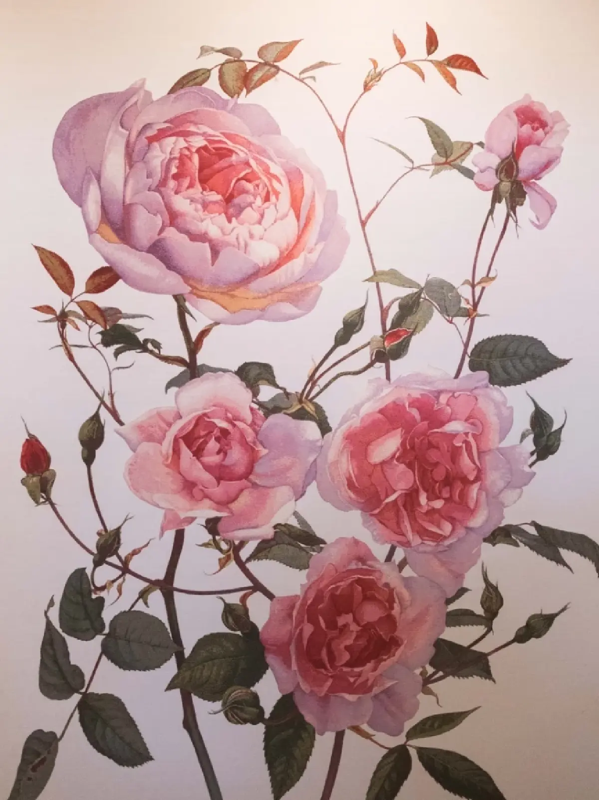 ผลึกอารยธรรมมนุษย์ นิทรรศการศิลปะเชิงปรัชญาโดย PASAYA