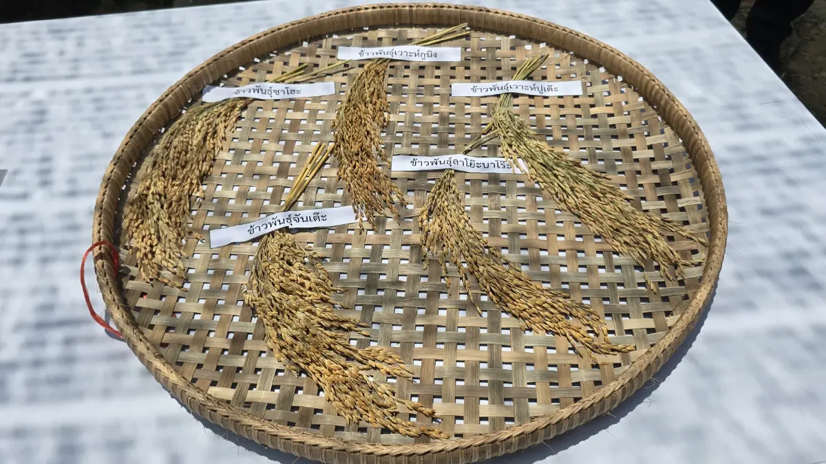 ‘ปิดทองหลังพระ’ ขับเคลื่อน 10 หมู่บ้าน ต้นแบบพัฒนาที่ยั่งยืนท่ามกลางวิกฤติ