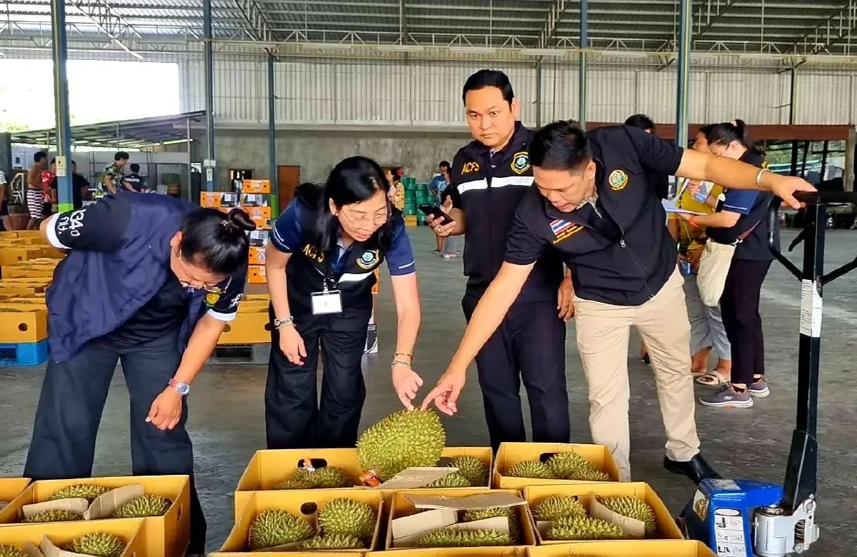 กำราบล้งแสบ มกอช. ตรวจทุเรียนอ่อน ผงาดมาตรฐานไทยสู่ระดับโลก