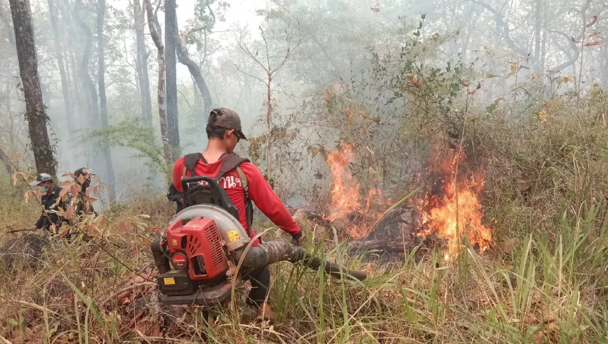 วิกฤตฝุ่น PM2.5 เหนือ-อีสานยังพุ่งสูง เตือน 3-5 เม.ย. อากาศปิด ฝุ่นสะสมทวีความรุนแรง