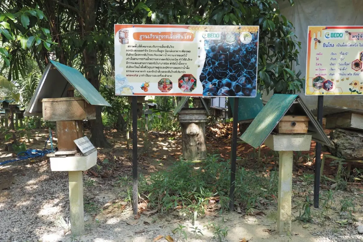 'National Action Plan' ขับเคลื่อนการจัดการทะเลแบบมีส่วนร่วม