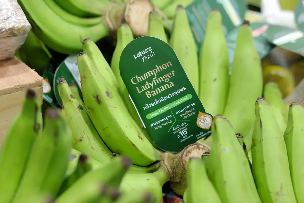 ซีพี แอ็กซ์ตร้า ผนึกกำลัง กรมทรัพย์สินทางปัญญา ขับเคลื่อนเศรษฐกิจฐานรากสู่ความยั่งยืน