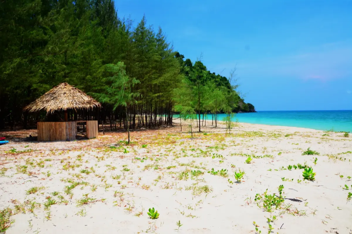 ค้างคืนบนเกาะกำ