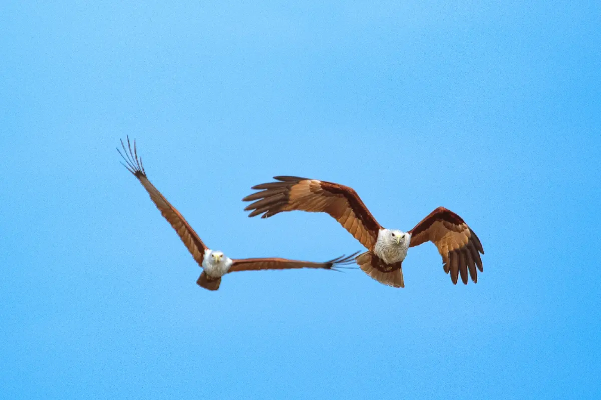 เที่ยวแบบนักอนุรักษ์ เนิบ ๆ ช้า ๆ ที่ 'ปากน้ำประแส'