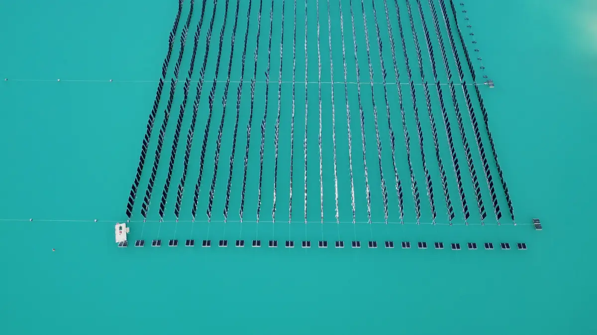 ‘เยอรมนี’ เปิดตัวโรงไฟฟ้าพลังงานแสงอาทิตย์ลอยน้ำแนวตั้งแห่งแรกของโลก