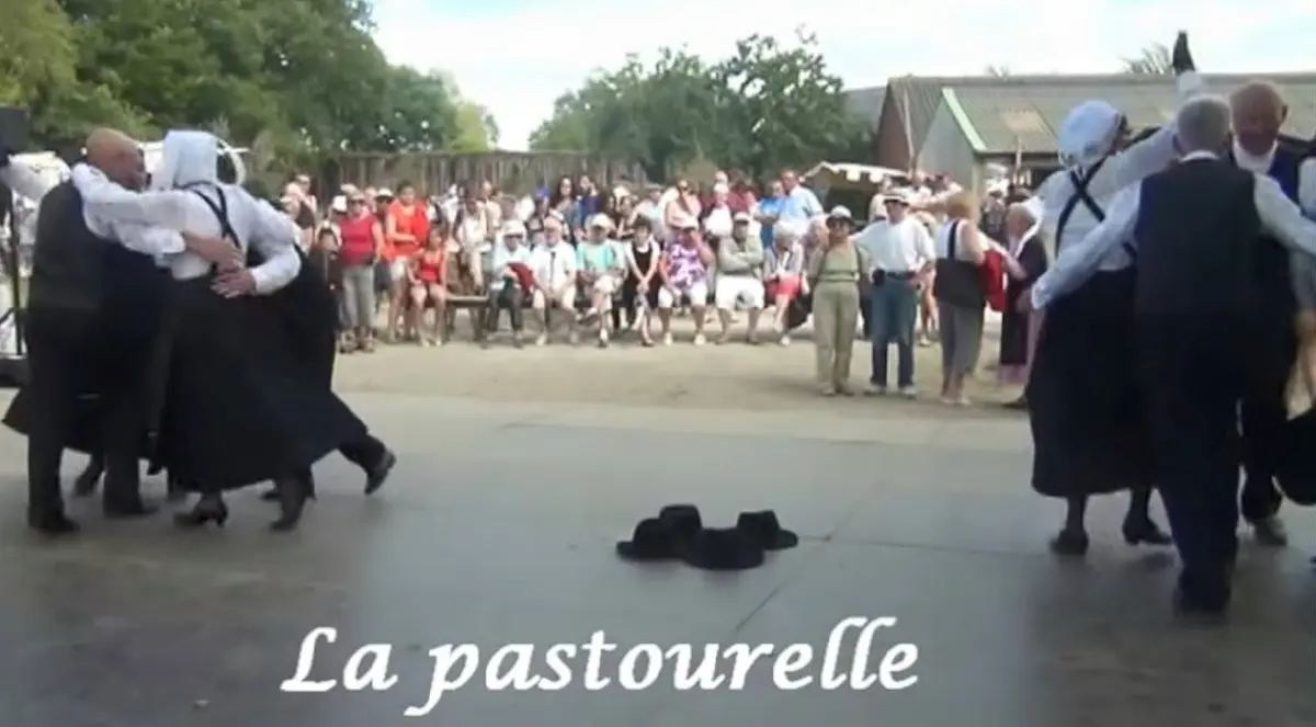 ตุ๊กตาเดี่ยว - ตุ๊กตาคู่ : ไวน์ตุ๊กตายอดนิยม