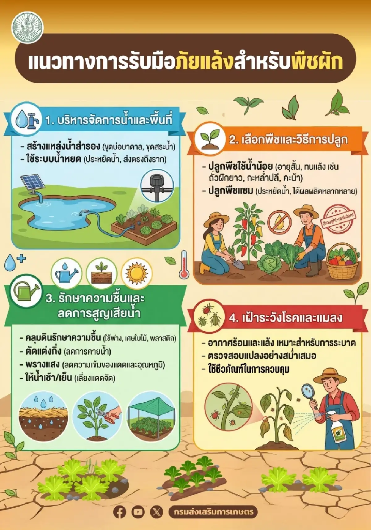 วิกฤติอากาศร้อนจัด แนะฟื้นฟูดูแล 'พืชผัก' กลับมาทำกำไรได้เร็วที่สุด