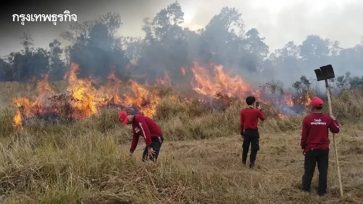 เจาะลึกเทคโนโลยี “Burn Scar”: อาวุธลับจับโกหกการเผา สั่นสะเทือนห่วงโซ่เกษตร-ธุรกิจส่งออกไทย