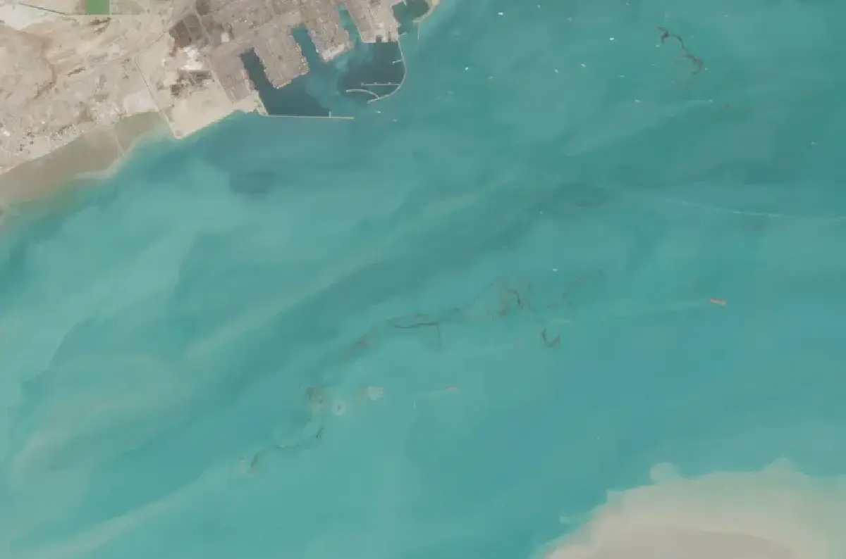 น้ำมันรั่วอ่าวเปอร์เซีย เห็นได้จากอวกาศ ‘สงครามอิหร่าน’ ทำลายสิ่งแวดล้อม-สัตว์เสี่ยงสูญพันธุ์