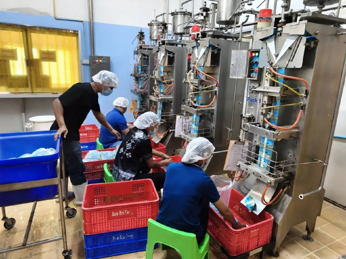 พลิกวิกฤตนมล้น ผลิตน้ำหมักชีวภาพแก้ปุ๋ยแพง ทางรอดเกษตรกรไทย