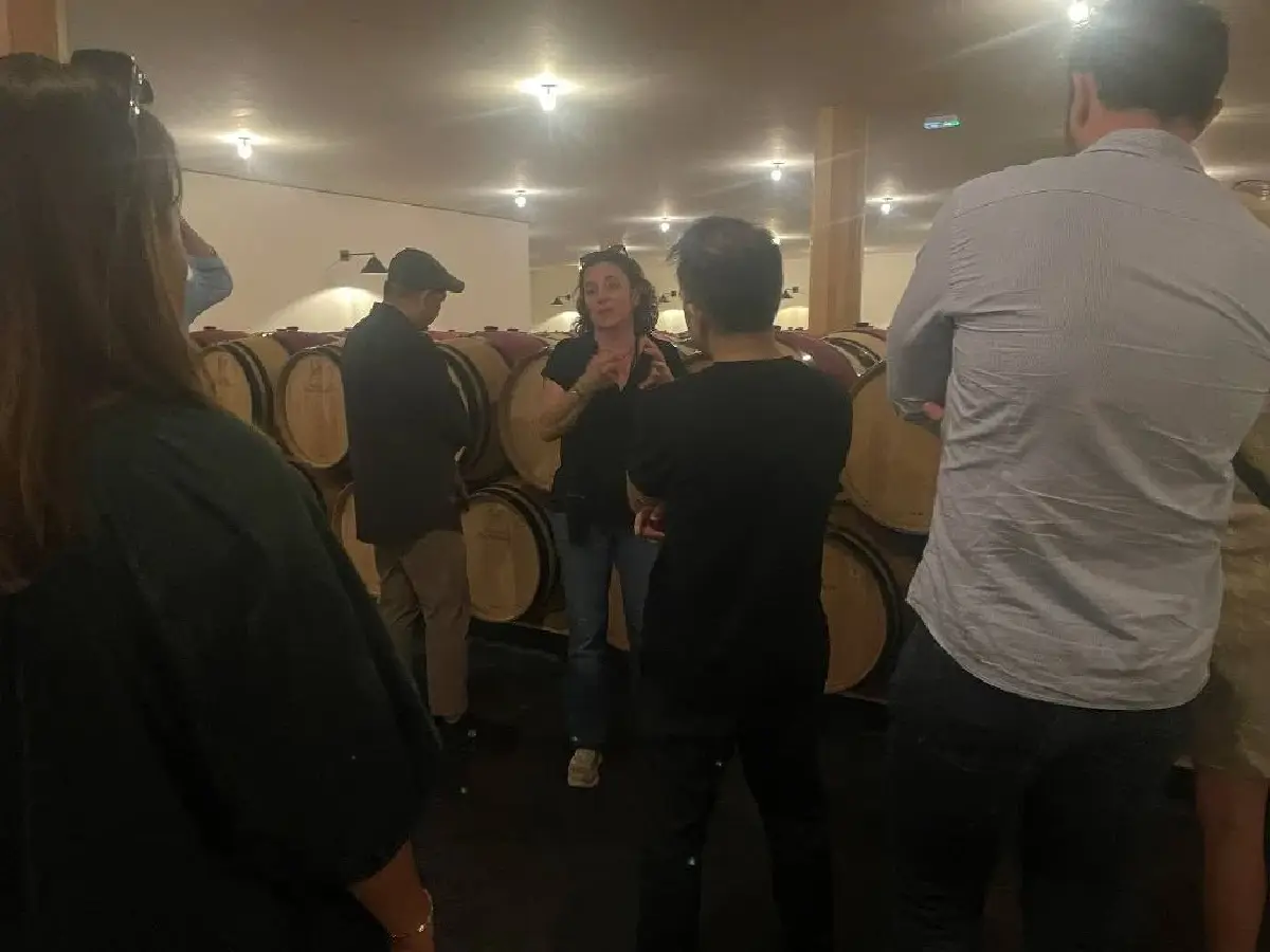 ตุ๊กตาเดี่ยว - ตุ๊กตาคู่ : ไวน์ตุ๊กตายอดนิยม