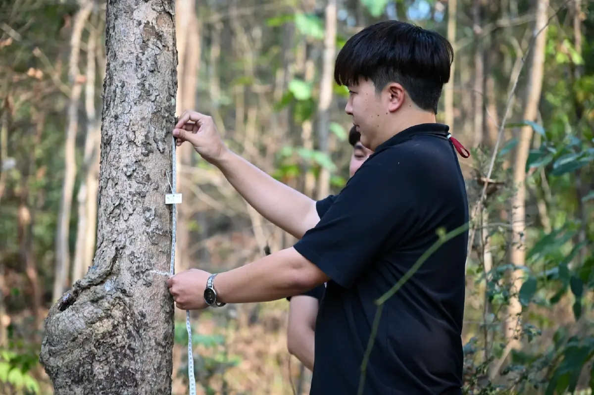 ‘แม่ฟ้าหลวงฯ’ รุกคืบคาร์บอนเครดิต  ปักธงพื้นที่ 1 ล้านไร่ ขยายพื้นที่สู่ป่าชายเลน