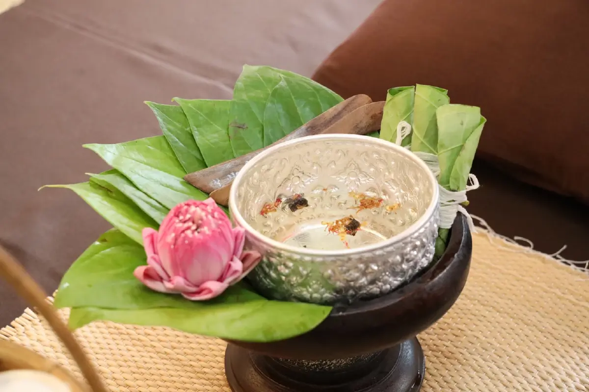 รุก Wellness โลก! เปิด "นวดโพธิ์-ล้านนา" ดันไทยสู่ศูนย์กลางสุขภาพ
