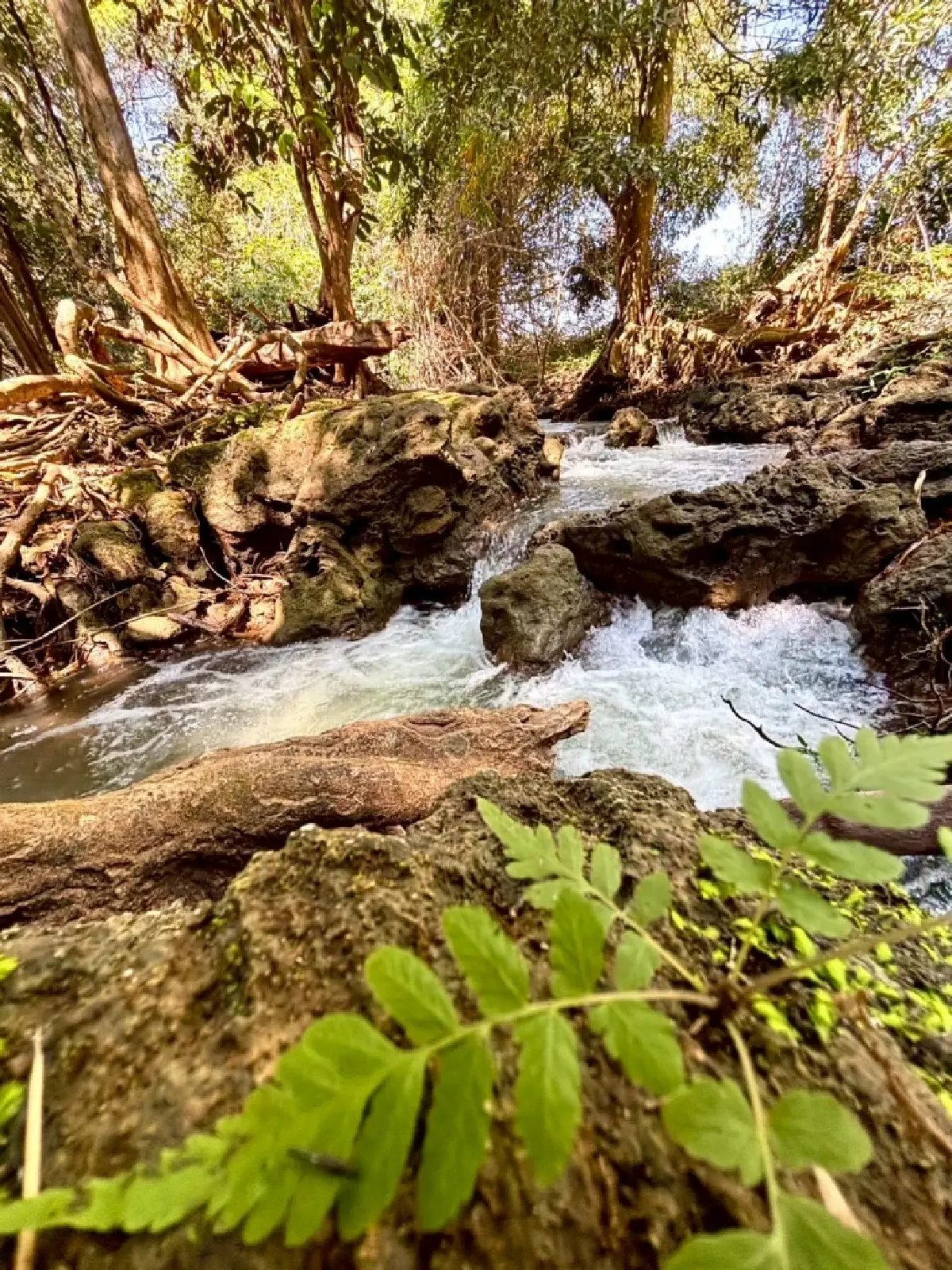 หน้าร้อน ปักหมุดเที่ยวเลย 'น้ำตกท่าสวรรค์' อ.นาด้วง น้ำใสไหลเย็น