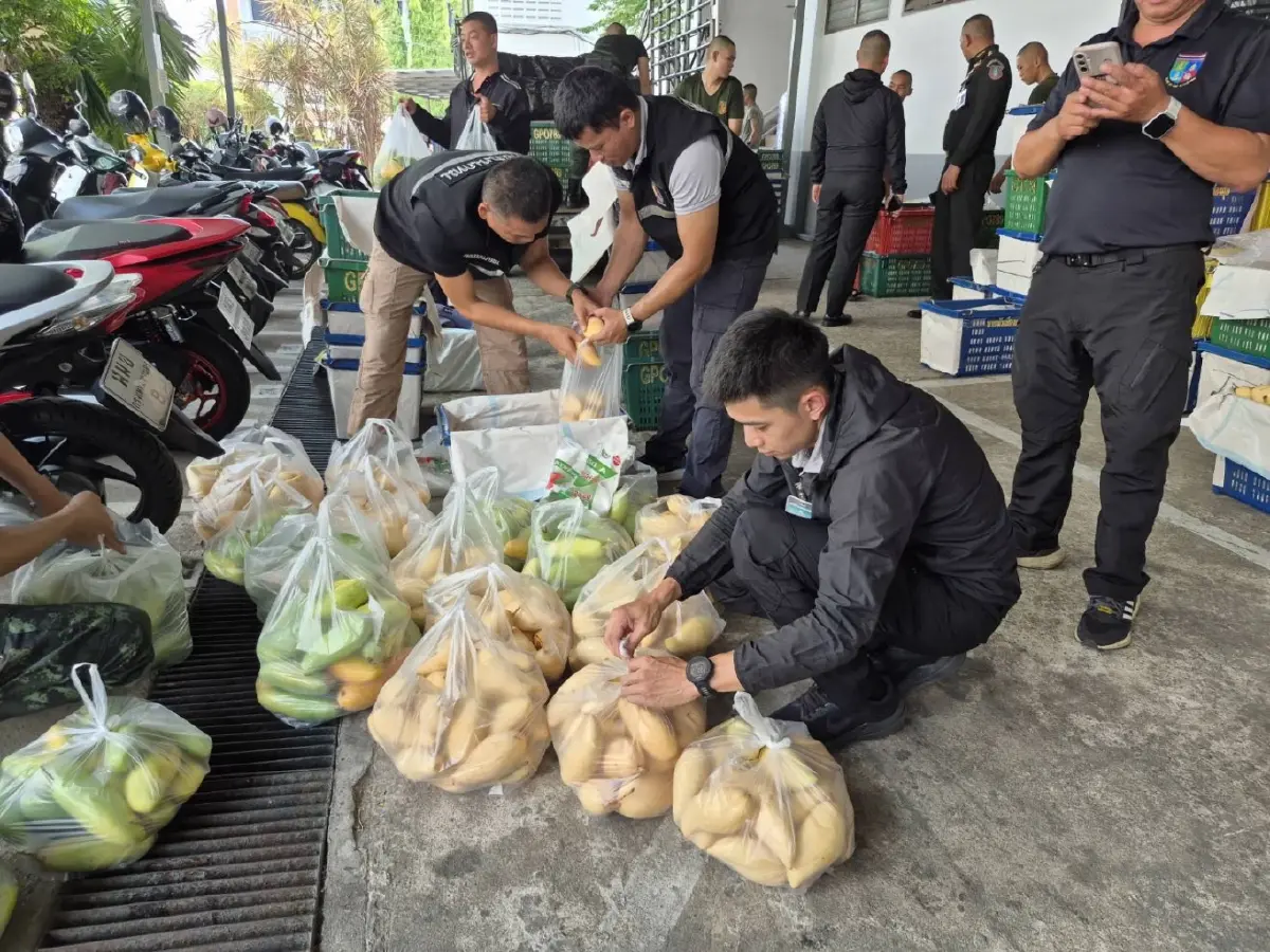 กอ.รมน.ภาค 1 ผนึกเอกชน รับซื้อมะม่วง ช่วยพยุงราคาหลังต้นทุนพุ่ง