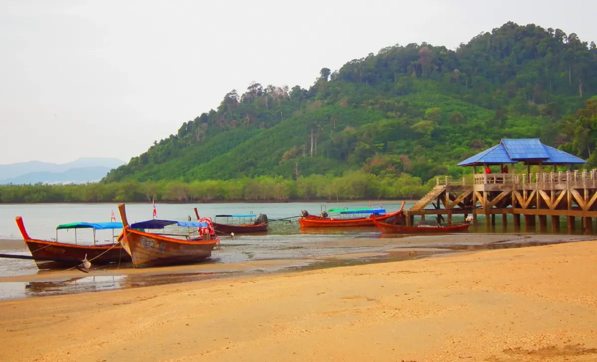 ค้างคืนบนเกาะกำ