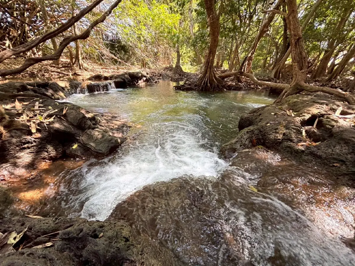 หน้าร้อน ปักหมุดเที่ยวเลย 'น้ำตกท่าสวรรค์' อ.นาด้วง น้ำใสไหลเย็น