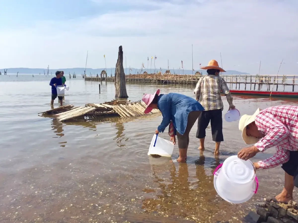 ขุมทรัพย์เขื่อนอุบลรัตน์! กุ้งก้ามกรามคืนถิ่น สร้างรายได้หลักหมื่นต่อคืน