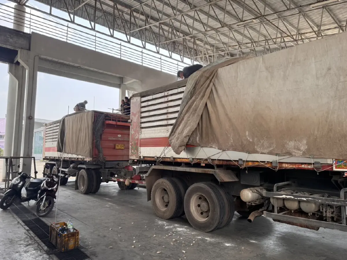 ตรวจเข้ม 4 จว. สกัดลักลอบนำเข้า 'มันเส้นด้อยคุณภาพ' จับแล้ว 24 ราย สั่งลงโทษทันที