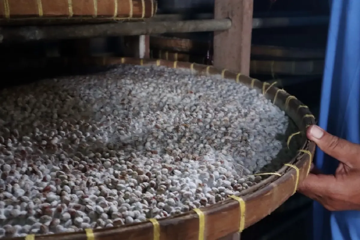 ‘เฮ้าย่งเซ้ง’ คาเฟ่ในโรงงานซีอิ๊ว 120 ปี ริมคลองบางหลวง