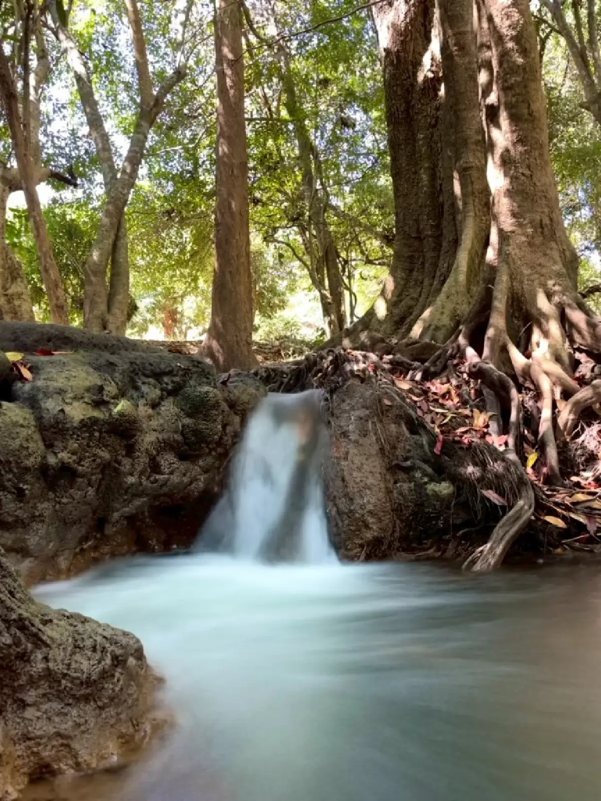 หน้าร้อน ปักหมุดเที่ยวเลย 'น้ำตกท่าสวรรค์' อ.นาด้วง น้ำใสไหลเย็น