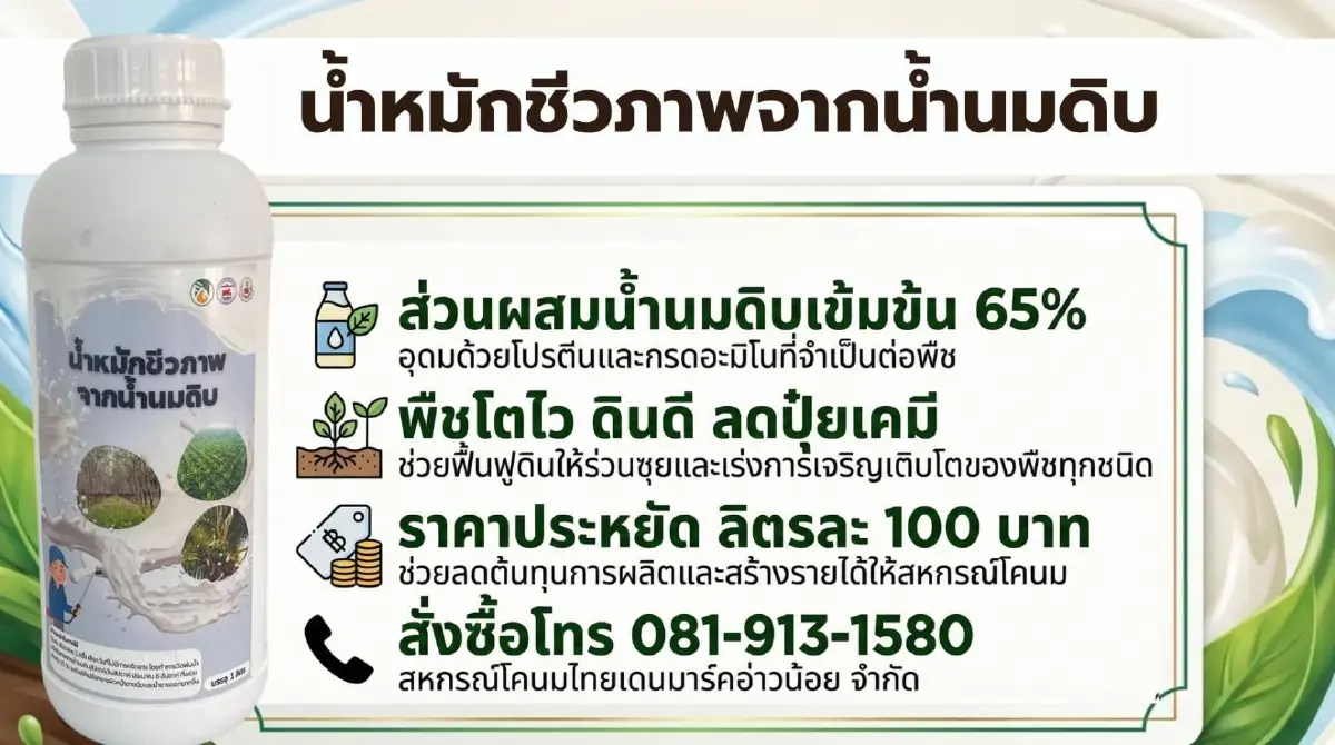 พลิกวิกฤตนมล้น ผลิตน้ำหมักชีวภาพแก้ปุ๋ยแพง ทางรอดเกษตรกรไทย