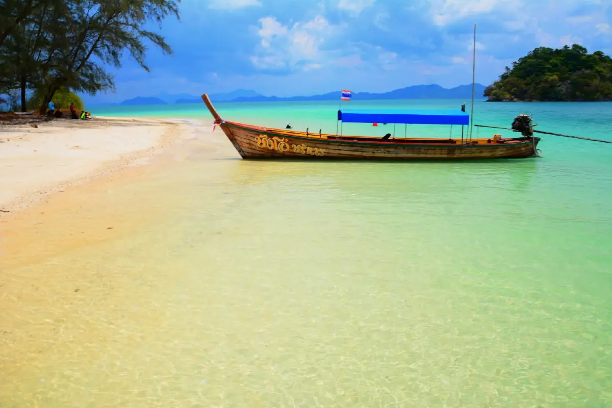 ค้างคืนบนเกาะกำ