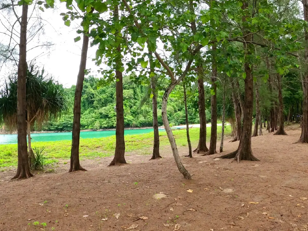 ค้างคืนบนเกาะกำ