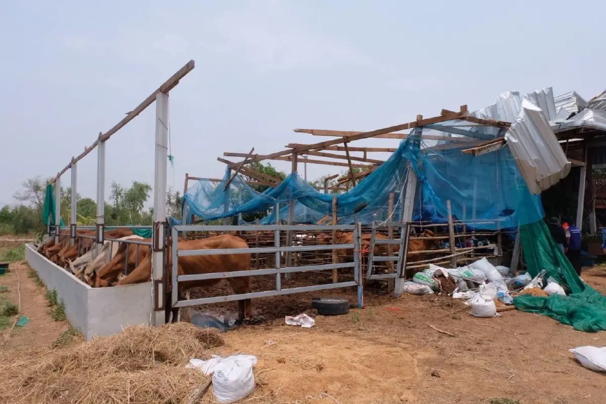 เร่งด่วนเงินเยียวยา 1 แสนบาท พายุฤดูร้อน ลมแรงถล่มบ้านเรือน เช็กเลย