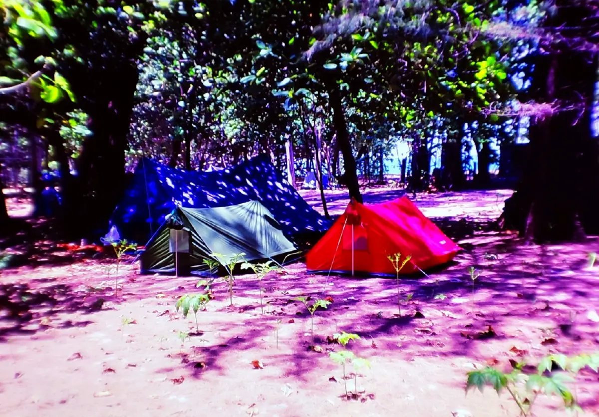 ค้างคืนบนเกาะกำ