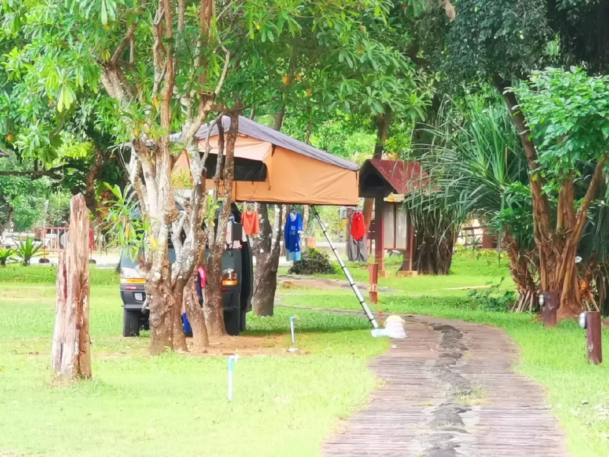 ค้างคืนบนเกาะกำ