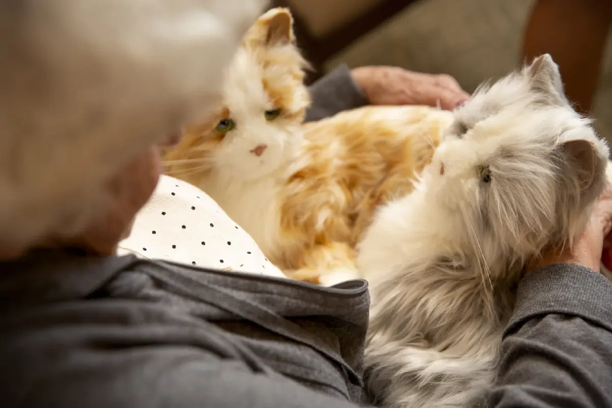 'หุ่นยนต์สัตว์เลี้ยง' เพื่อนใหม่ ตัวช่วยคลายเหงา ฮีลใจเด็ก–ผู้สูงวัย