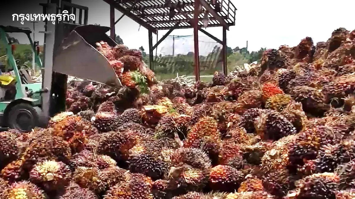 พาณิชย์ ไฟเขียว! ขึ้นราคาน้ำมันปาล์มบรรจุขวด 1-2 บาท  หลังต้นทุนพุ่ง