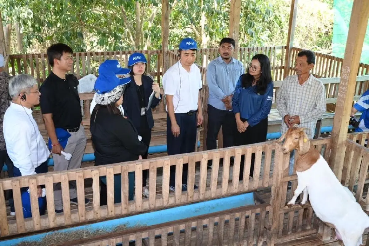‘ไทย-จีน’ ผนึกกำลังยกระดับนวัตกรรมแก้จน  ชูโมเดล ‘แพะปัตตานี’ ต้นแบบแก้เหลื่อมล้ำฐานราก