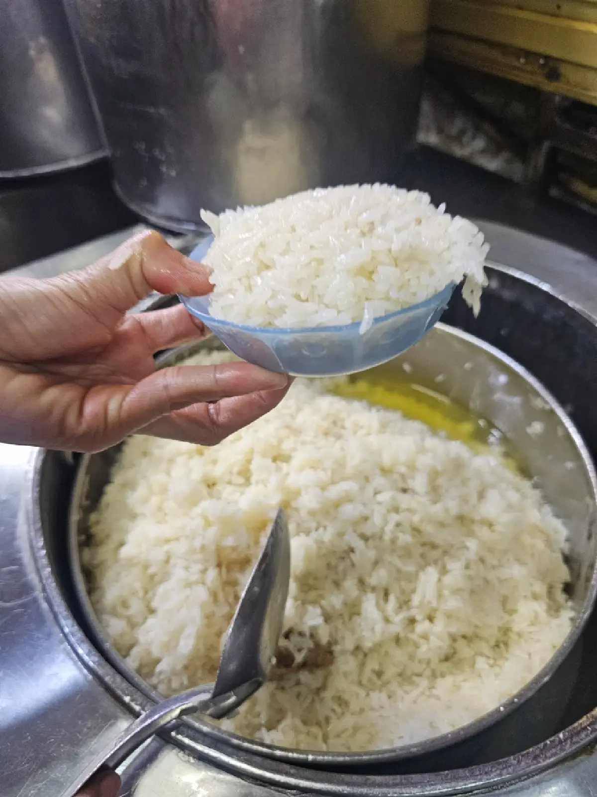 ‘มงคลวัฒนาข้าวมันไก่’  เจ้าเก่าสะพานควาย ไก่นุ่ม น้ำจิ้มรสเด็ด