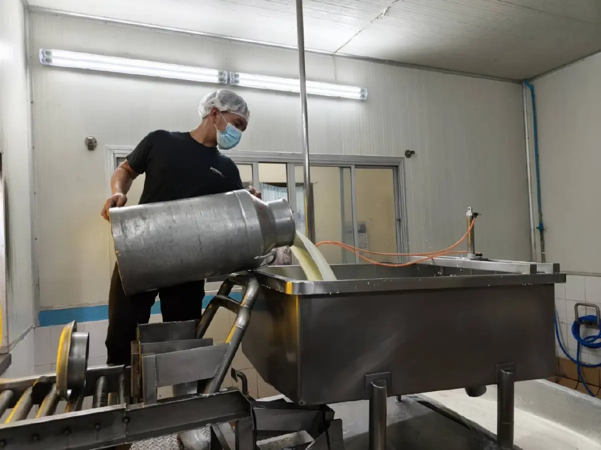 พลิกวิกฤตนมล้น ผลิตน้ำหมักชีวภาพแก้ปุ๋ยแพง ทางรอดเกษตรกรไทย