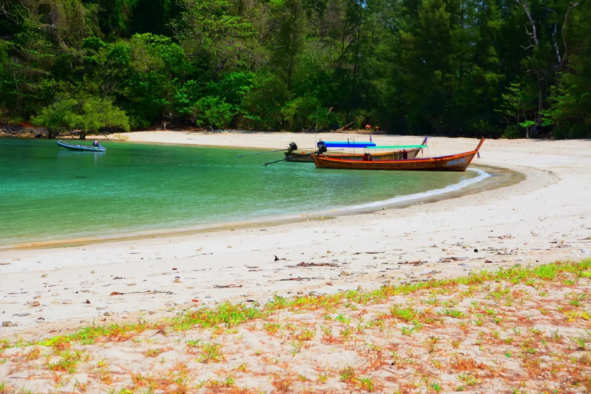 ค้างคืนบนเกาะกำ