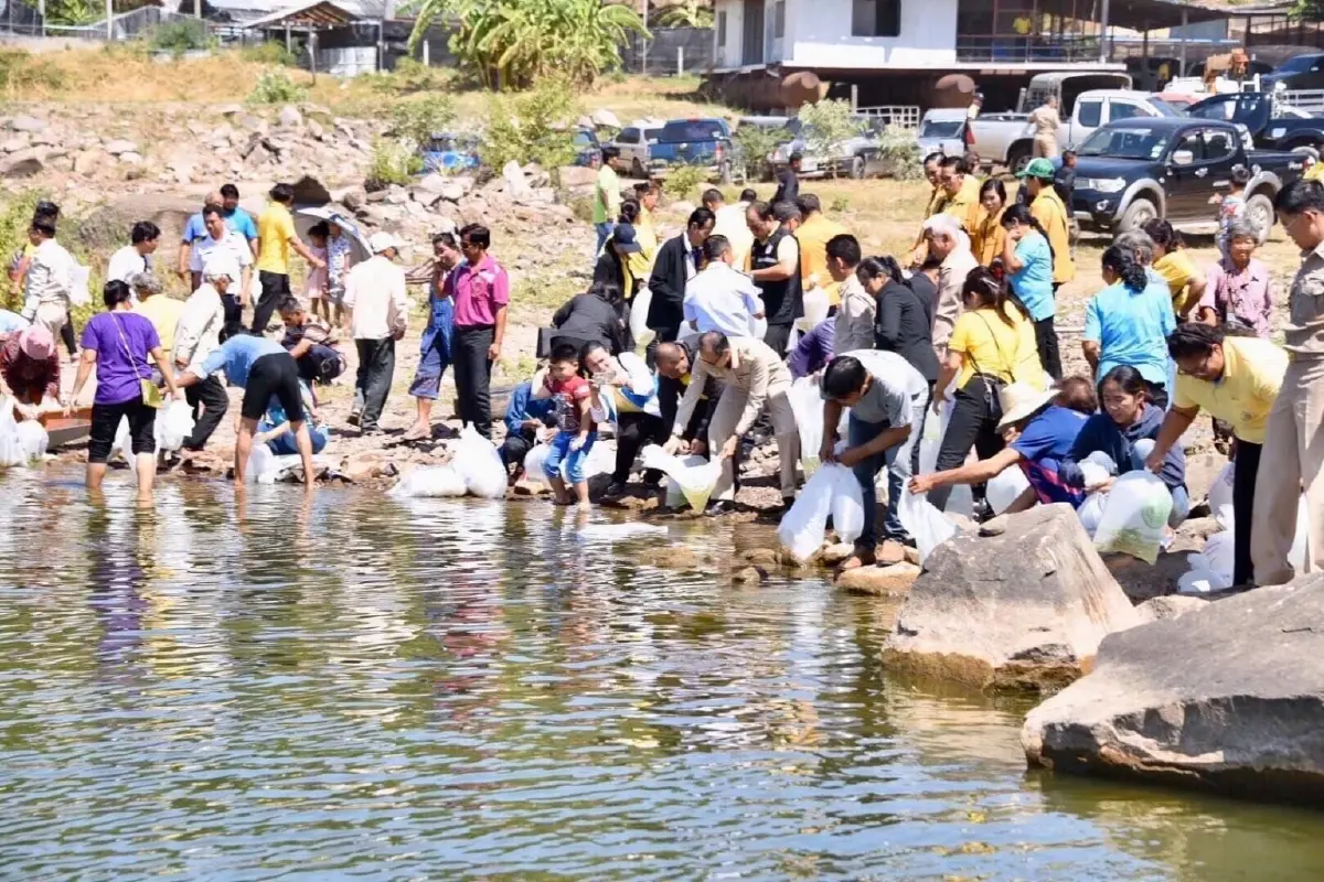 ขุมทรัพย์เขื่อนอุบลรัตน์! กุ้งก้ามกรามคืนถิ่น สร้างรายได้หลักหมื่นต่อคืน