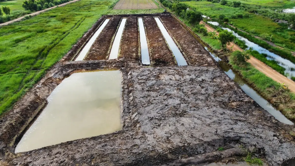 ‘สงคราม-ภัยแล้ง’  ฉุดผลผลิตเกษตร  สศก.จ่อปรับจีดีพี ปี69