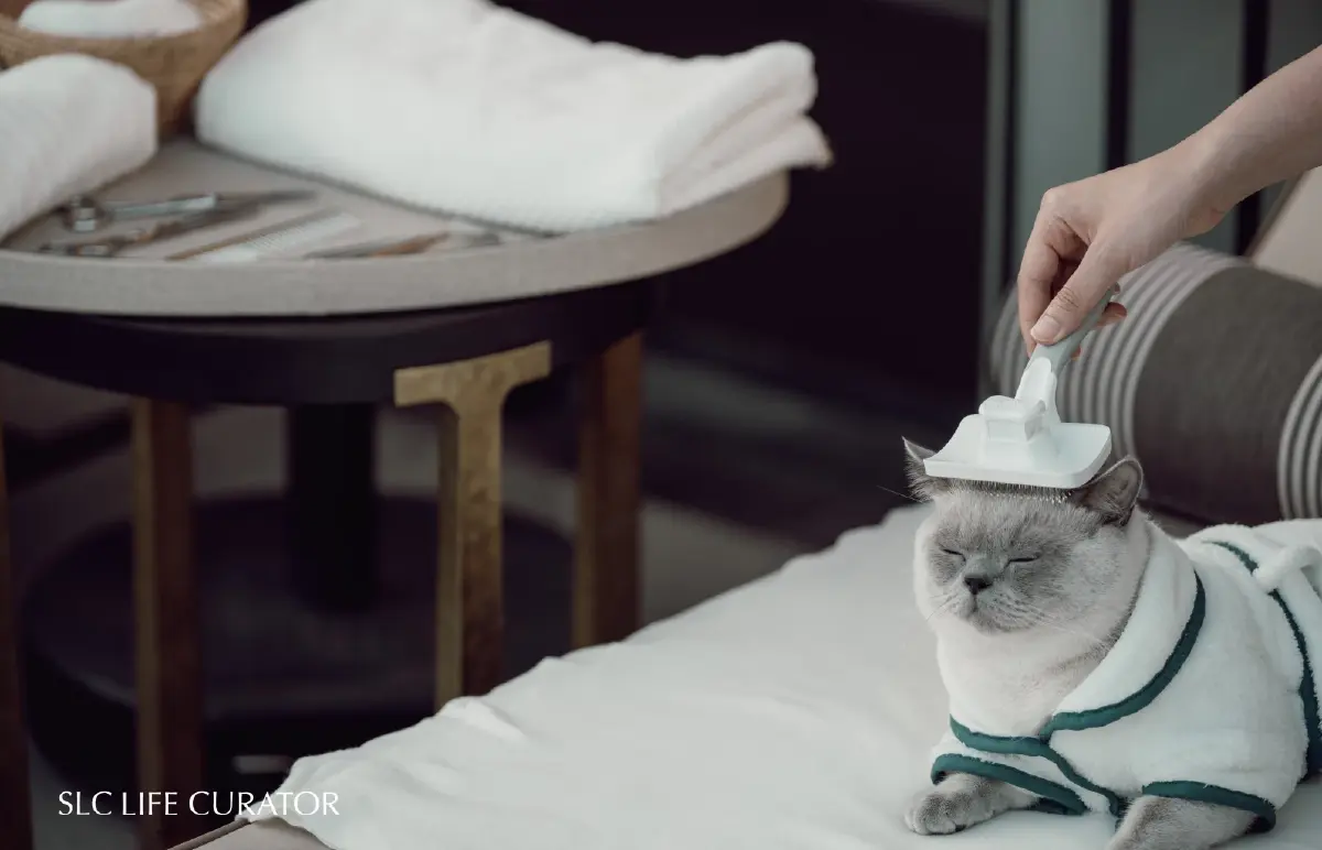 แสนสิริ เปิดตัว 'SLC Life Curator' รุกเซอร์วิสแบบลักชัวรี เจาะกลุ่มลูกค้า UHNWIs ยกระดับการอยู่อาศัย